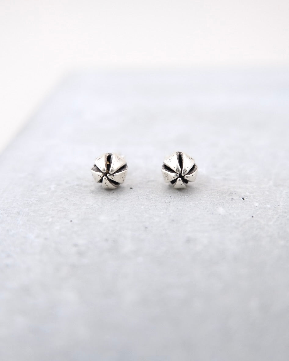 人気ブランド カレンシルバー cholon – ピアス（A） アクセサリー